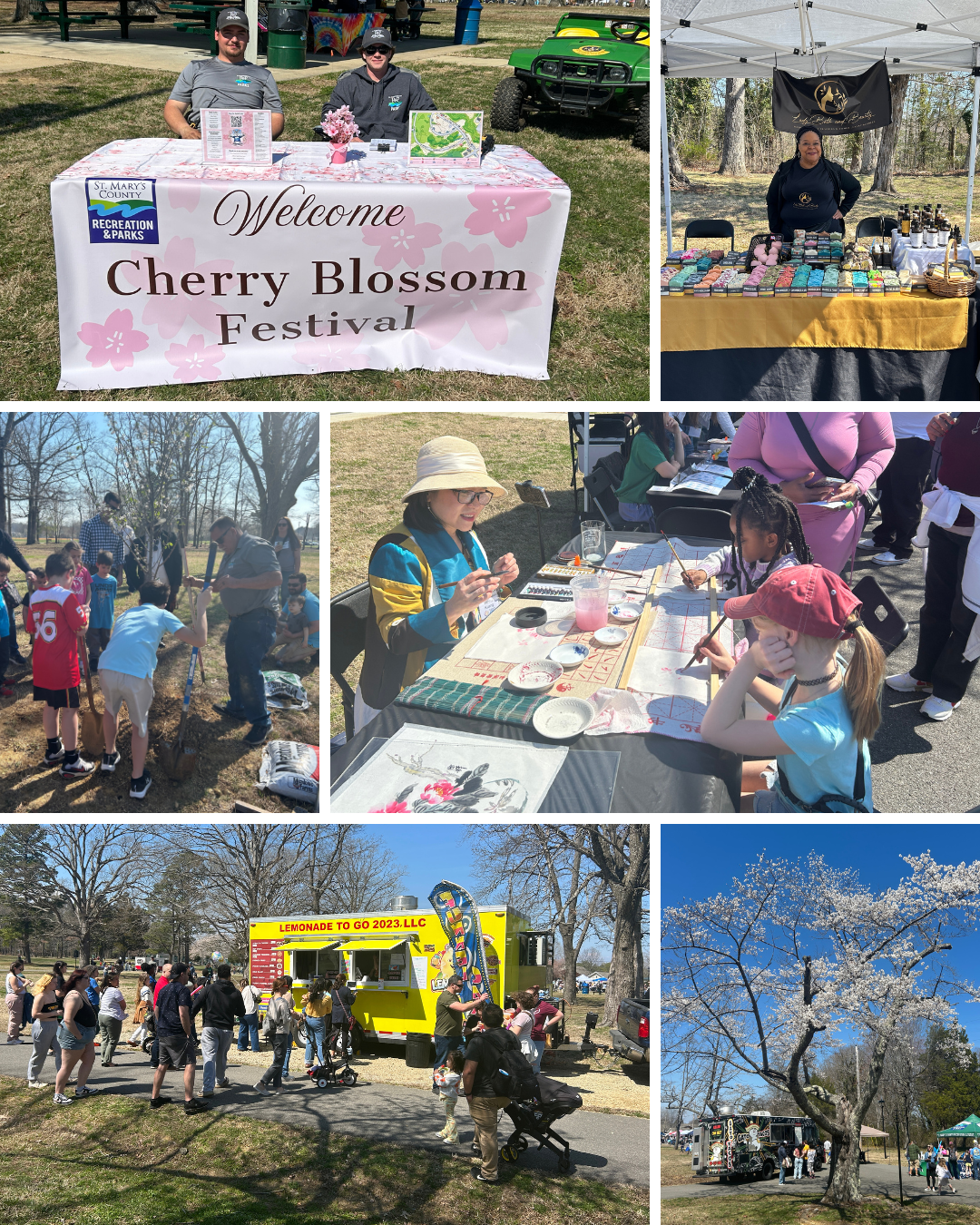 Pictures of food trucks, the cherry blossom trees, and kids doing art